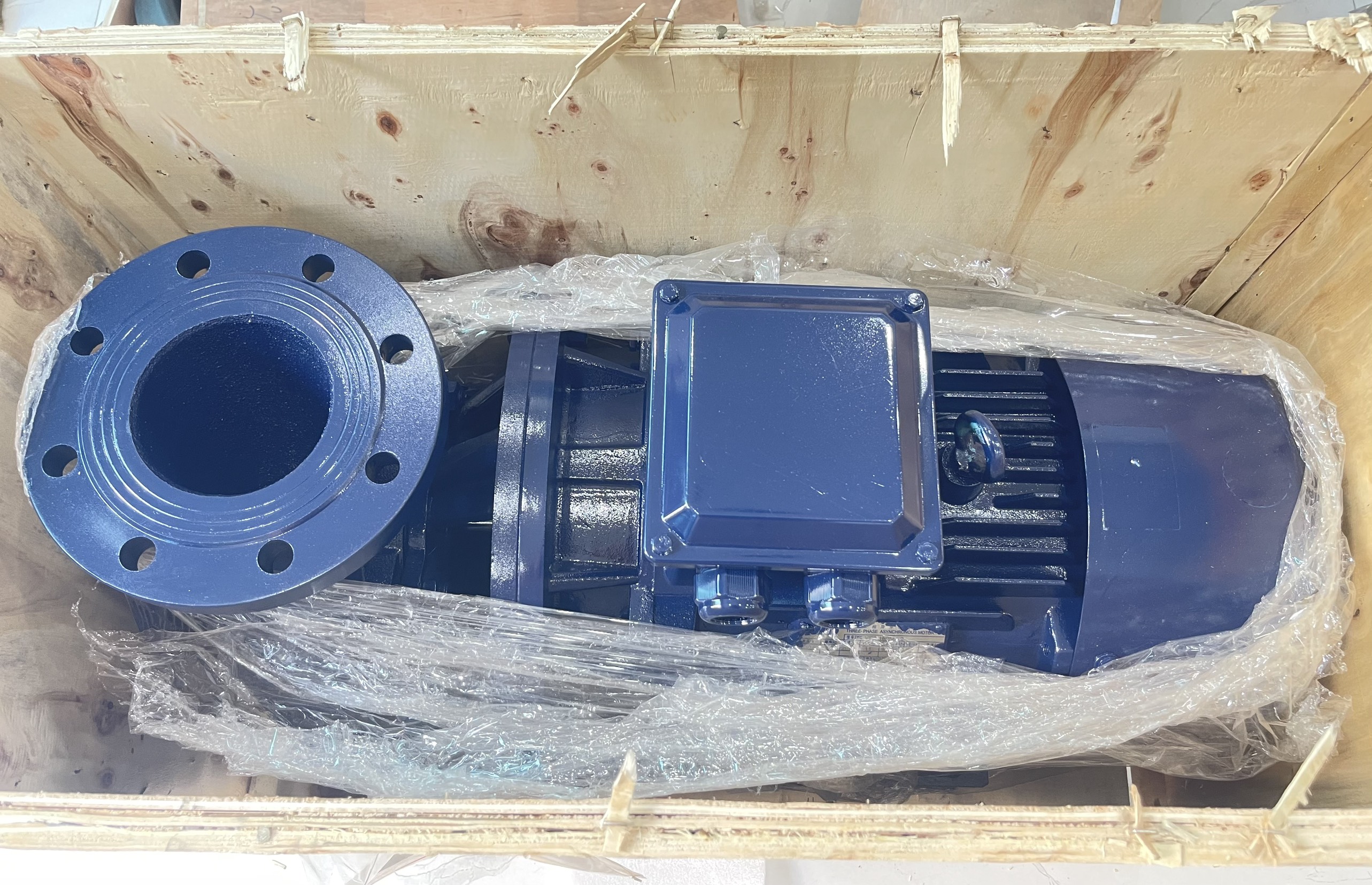 vong-bi-zwz-ve-cuoi-nam-