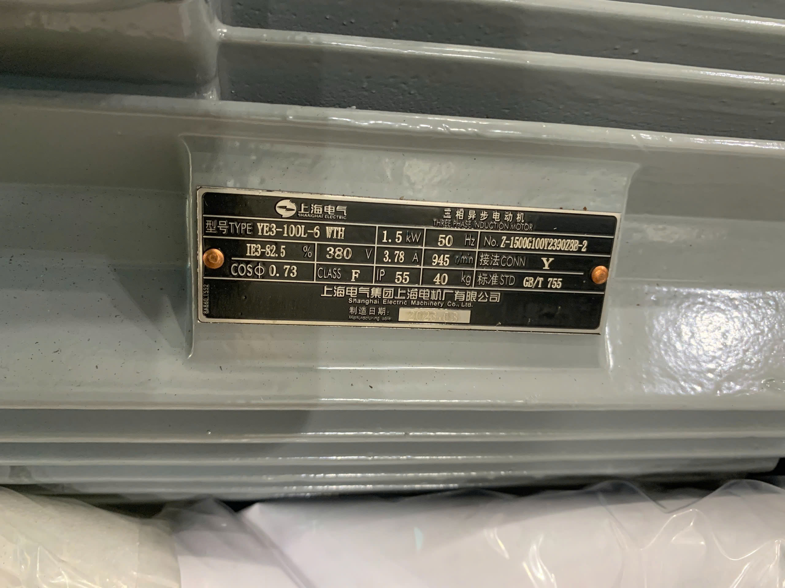 ĐỘNG CƠ YE3-100L-5